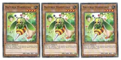 3x Naturia Horneedle - (HAC1-EN105 - 1st Ed - Duel Terminal Rare) - NM - Yugioh - Image 1