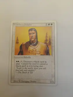 Northern Paladin Revised Edition Mtg Magic The Gathering - Image 1
