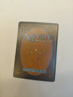 Northern Paladin Revised Edition Mtg Magic The Gathering - Image 2