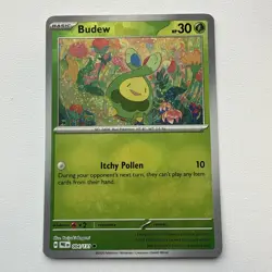 Budew (Poke Ball Pattern) - 004/131 - SV: Prismatic Evolutions Pokemon TCG - Image 1
