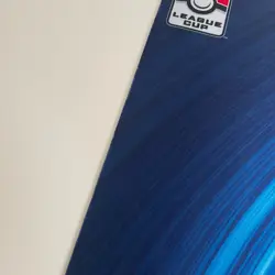 Pokemon League Cup 2016 Mega Blastoise Champions Playmat (Very Good Condition) - Image 3