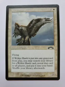 MTG Magic The Gathering Card Welkin hawk Summon Bird White Exodus 1993-1998 - Image 1