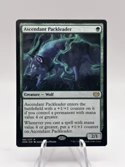 Ascendant Packleader 186/277 Innistrad: Crimson Vow VOW MTG NM - Image 1