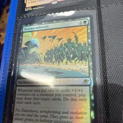 Mtg Edge of eternities terrasymbiosis foil - Image 1
