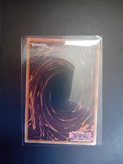 Amazoness Pet Liger King - MP23-EN224 - Prismatic Secret Rare - 1st Ed - YuGiOh - Image 2