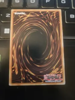 SDSH-EN006 SHADDOLL SQUAMATA COMMON 1ST EDITION YuGiOh CARD - Image 2