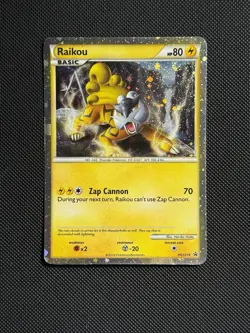 Pokemon Card RAIKOU HGSS19 Holo Rare Heart Gold Soul Silver Promo 2010 SWIRL MP+ - Image 1