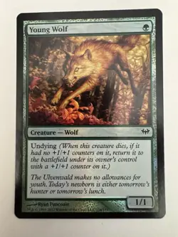 MTG Young Wolf Dark Ascension #134 Foil Never Played Mint/Near Mint - Image 2