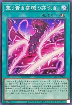 Yugioh Card LIOV-JP059 Basal Rose Shoot | Normal Japanese - Image 1