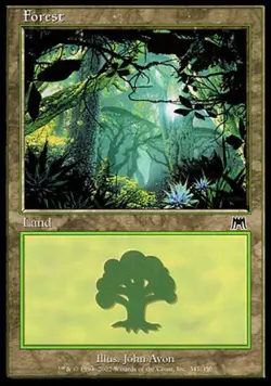 Forest (347) - Medium Play MTG Onslaught - Image 1