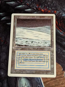 MTG Sticker CEDH Tundra Dual Land - Image 1