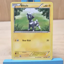 Blitzle 40/114 Black & White Base Set Pokemon Card - Image 1