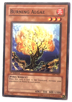 YuGiOh! - Burning Algae - IOC-062 - 1st Edition - Common - Image 1