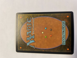 Magic the Gathering MTG Morningtide BORDERLAND BEHEMOTH Foil beautiful Mint look - Image 2