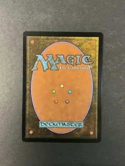 Knights of Dol Amroth - Foil - Borderless - Lord of the Rings - Magic - MTG - Image 2