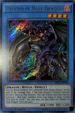 Yugioh Paladin Of Dark Dragon SCR Holo Bleed 🩸 1st Ed. DRL2-EN086 Near Mint - Image 1