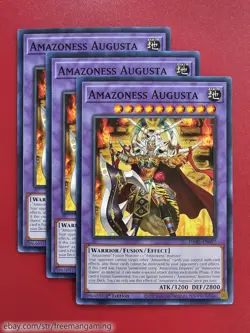 Yugioh Amazoness Deck Core Set 21 card DABL Augusta Pet Liger King War Chief - Image 2