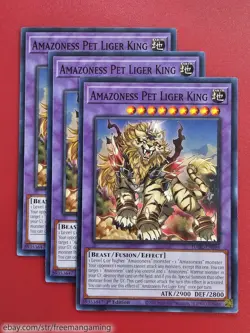Yugioh Amazoness Deck Core Set 21 card DABL Augusta Pet Liger King War Chief - Image 3