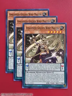 Yugioh Amazoness Deck Core Set 21 card DABL Augusta Pet Liger King War Chief - Image 4