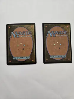 Future Sight (FUT) Foil unc Fleshwrither MTG MOL W/Privileged Position RareFoil - Image 2