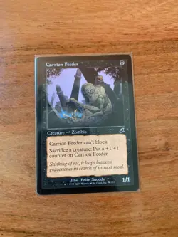 x1 MTG Scourge Carrion Feeder LP #59/143 MTG TCG CCG Magic the Gathering - Image 1