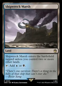 Shipwreck Marsh DRWHO LP MTG - Image 1