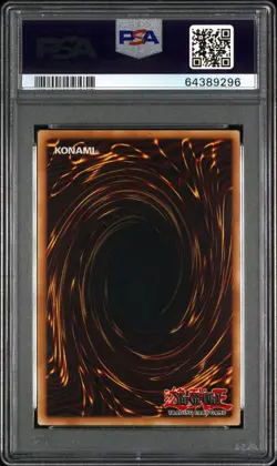 YUGIOH 1ST EDITION BLACK ROSE DRAGON PSA 10 GEM MINT STARLIGHT RARE LIOV-EN - Image 2