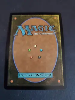 1x - PLAINS - #262 - FOIL FULL ART - Edge of Eternities - NM MTG - Image 2