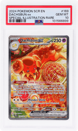 2024 Pokemon Stellar Crown Dachsbun Ex Special Illustration Rare #169 PSA 10 - Image 1