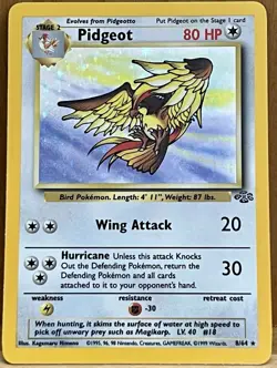 Pidgeot Pokemon TCG Jungle Set Unlimited 8/64 Rare Holo 1999 LP - Image 1