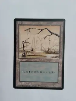 1 x MTG T-Chinese 4E BB Swamp --- N/M - Image 1