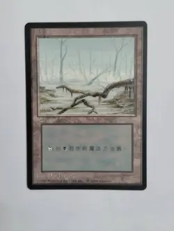 1 x MTG T-Chinese 4E BB Swamp --- N/M - Image 1