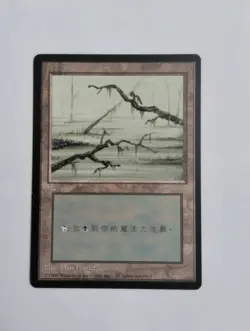 1 x MTG T-Chinese 4E BB Swamp --- N/M - Image 1