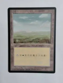 1 x MTG T-Chinese 4E BB Plains --- N/M - Image 1