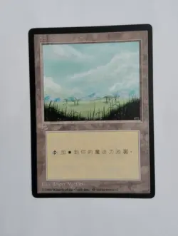 1 x MTG T-Chinese 4E BB Plains --- N/M - Image 1