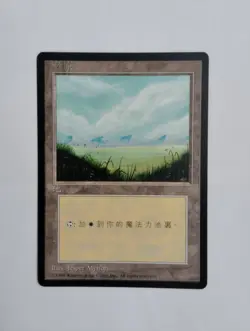 1 x MTG T-Chinese 4E BB Plains --- N/M - Image 1
