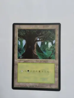 1 x MTG T-Chinese 4E BB Forest --- N/M - Image 1