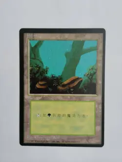 1 x MTG T-Chinese 4E BB Forest --- N/M - Image 1