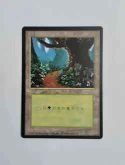 1 x MTG T-Chinese 4E BB Forest --- N/M - Image 1