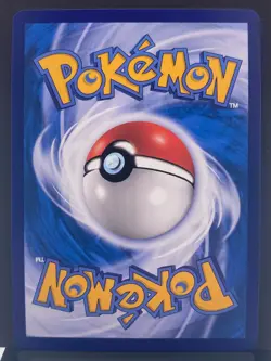 Friends in Galar 082/S-P 1st Anniversary Gift Box Pokemon Card | Chinese | NM+ - Image 3