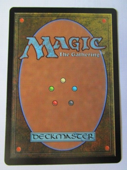 MTG Swamp 272/277 Foil Mid Midnight Hunt Land Near Mint!! - Image 2