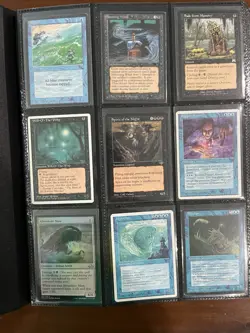 MTG Binder! Lots Of Vintage! 360 Cards, Ice Age, Mirage, Foils, Urza, Visions - Image 1
