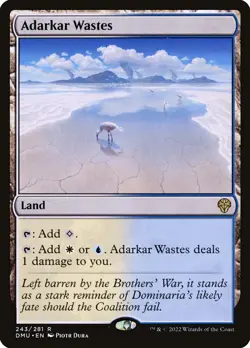 Adarkar Wastes (243) Dominaria United DMU MTG Magic - Image 1