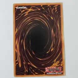 Paladin of White Dragon - DPKB-EN024 - MP+ - Rare - Unlimited - Yugioh - Image 2