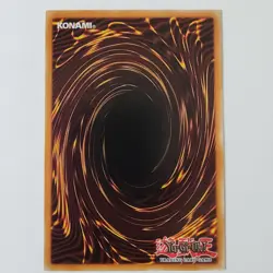 Paladin of White Dragon - DPKB-EN024 - NM/VLP - Rare - Unlimited - Yugioh - Image 2