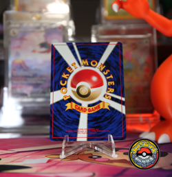 Pokemon TCG Eevee No.133 Neo Premium File 2 Japanese 2000 NM/NM+ - Image 2