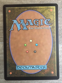 MAGIC THE GATHERING WINTER MISANTHROPIC GUIDE CARD DUSKMOURN SERIES MTG RARE AUS - Image 2