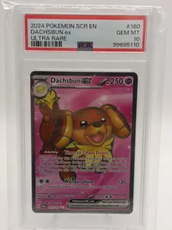 Dachsbun EX #160/142 Stellar Crown Ultra Rare Pokemon PSA 10 - QUICK AUCTION - Image 1