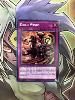 OP25-EN025 Dried Winds Common Unlimited Edition NM Yugioh Card - Image 1