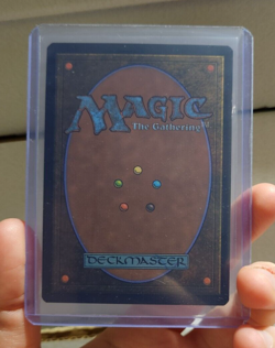 MTG - Boseiju, Who Endures - Kamigawa: Neon Dynasty - #501 - Extended Art - Image 3